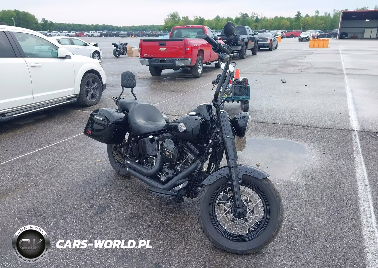 2017 Harley-Davidson Flss – zdjęcie 1 z 13