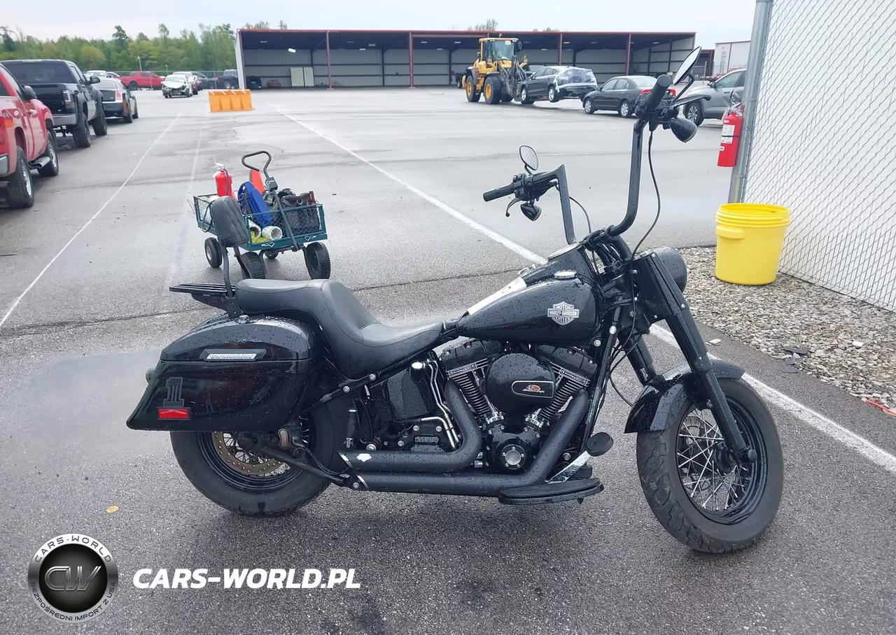 2017 Harley-Davidson Flss VIN:1HD1JS910HB034818 - 11