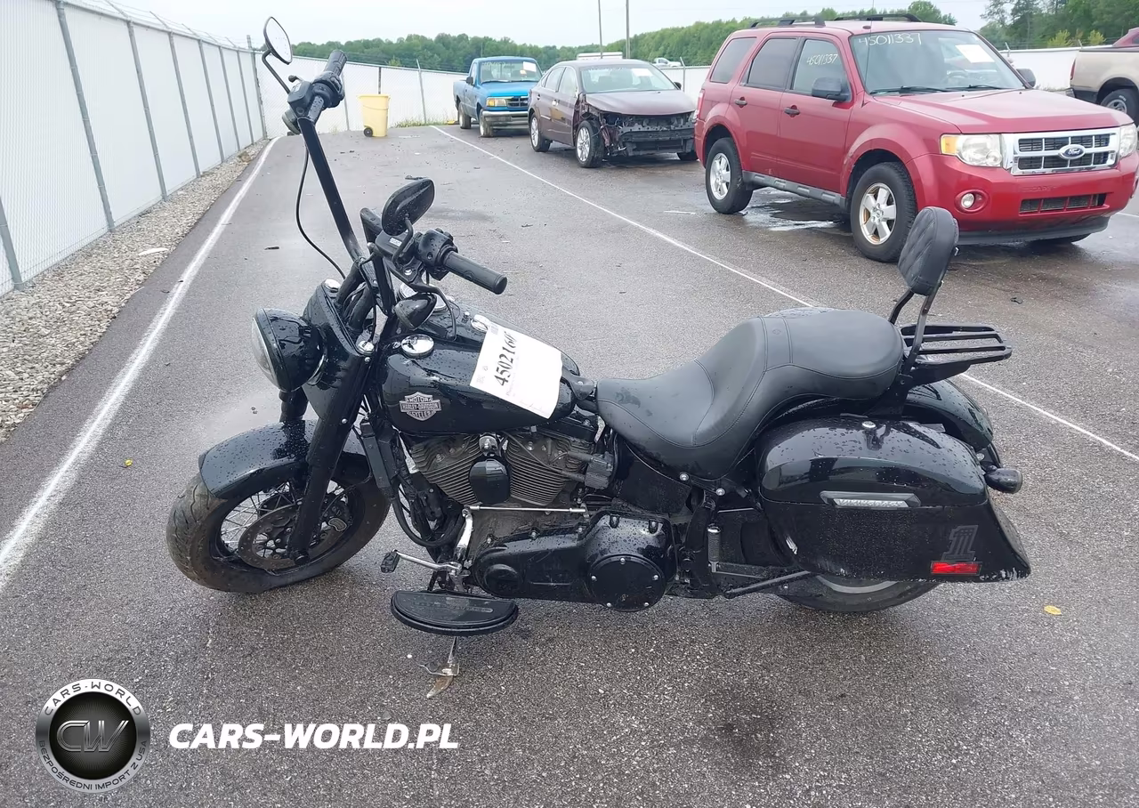 2017 Harley-Davidson Flss VIN:1HD1JS910HB034818 - 12