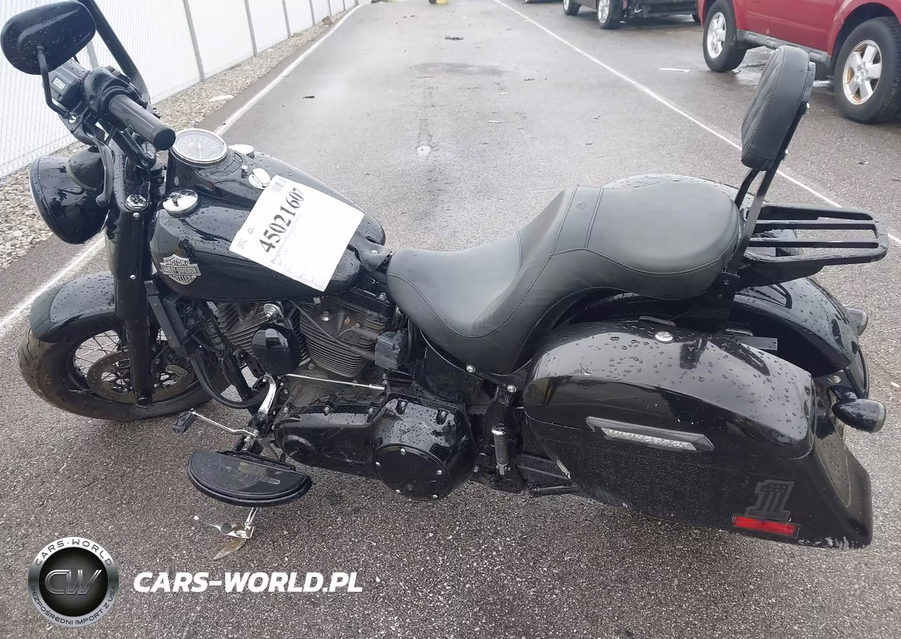 2017 Harley-Davidson Flss VIN:1HD1JS910HB034818 - 13
