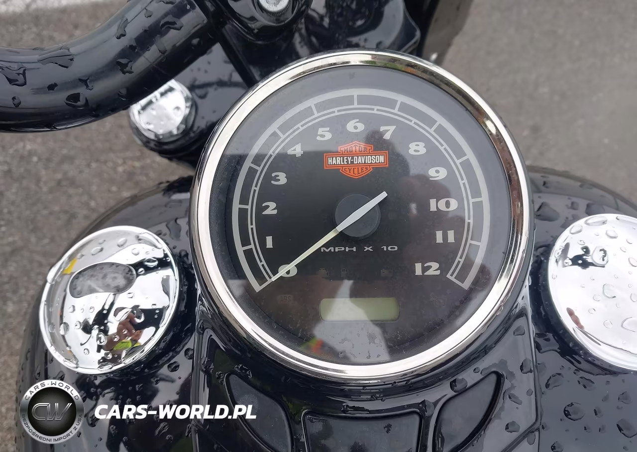 2017 Harley-Davidson Flss VIN:1HD1JS910HB034818 - 7