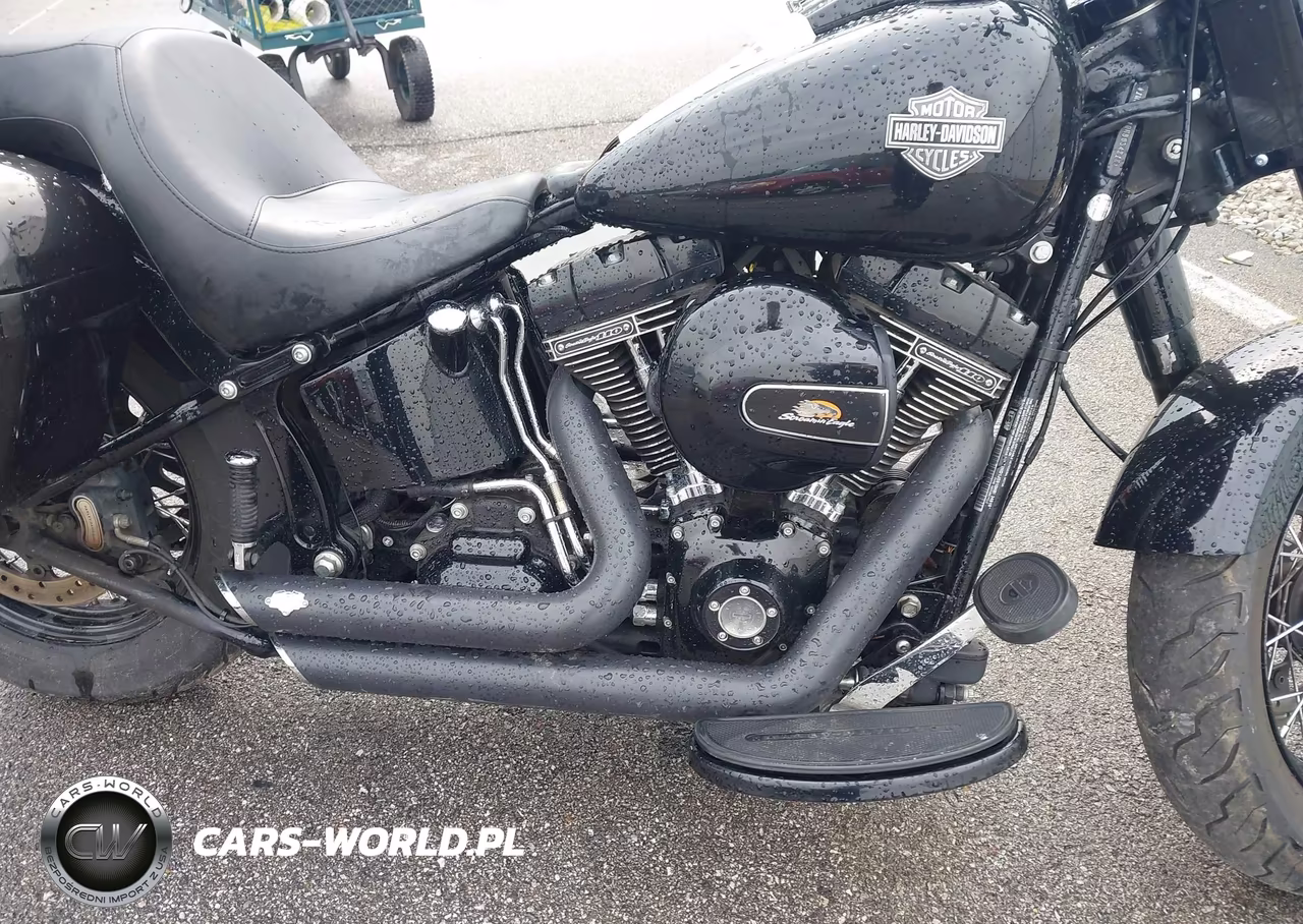 2017 Harley-Davidson Flss VIN:1HD1JS910HB034818 - 8