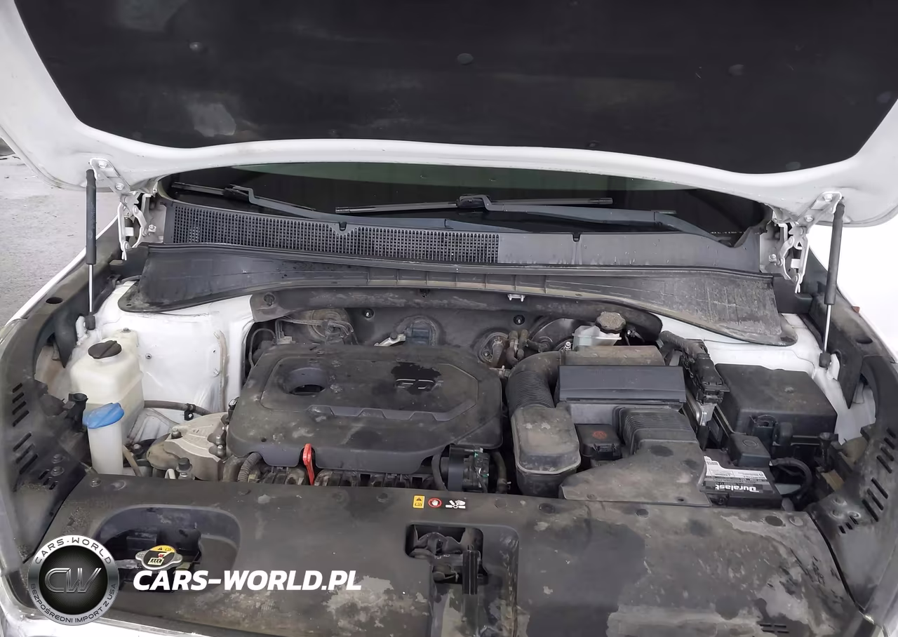 2019 Kia Sorento 2.4L Lx VIN:5XYPG4A36KG518041 - 10
