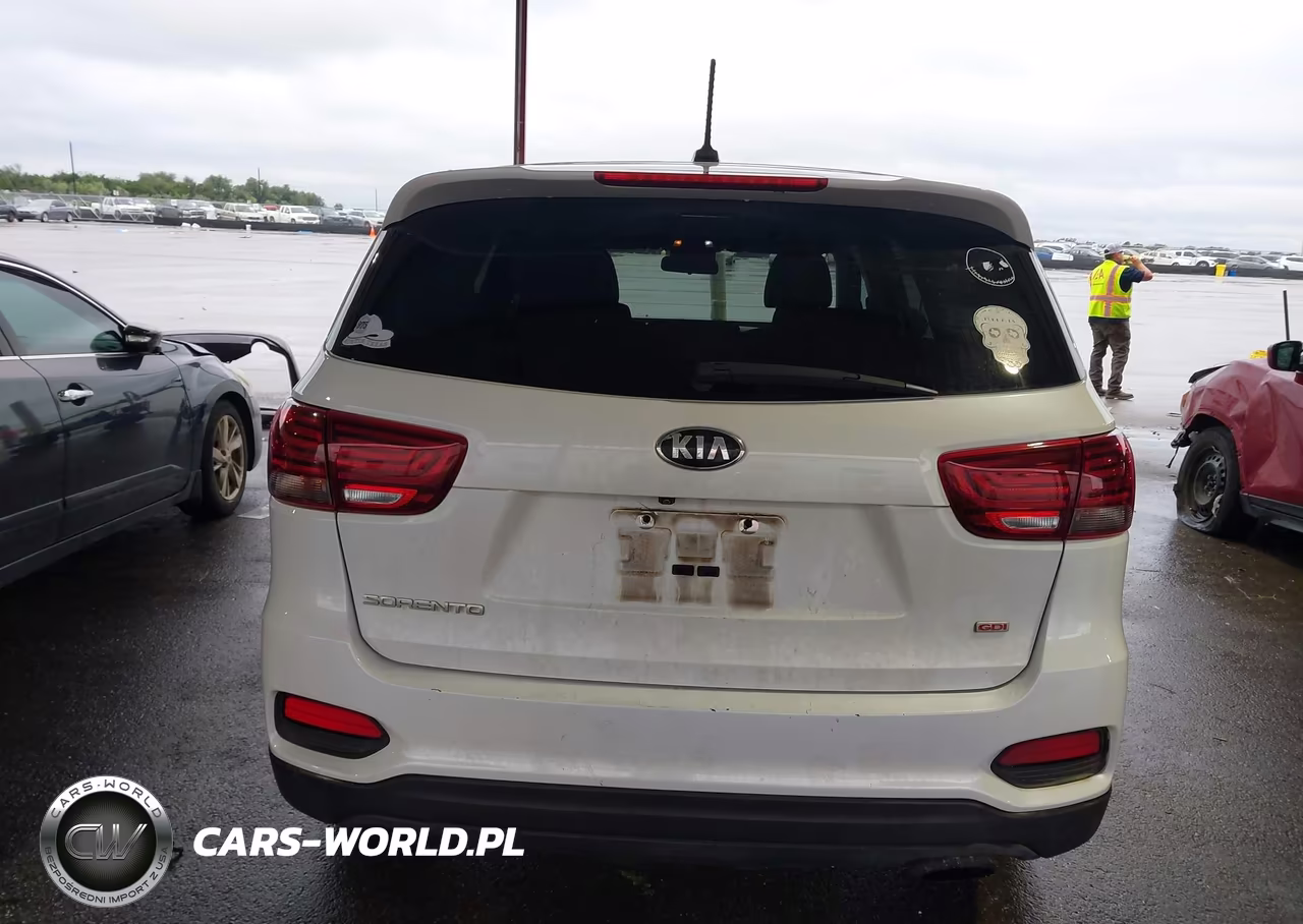 2019 Kia Sorento 2.4L Lx VIN:5XYPG4A36KG518041 - 16