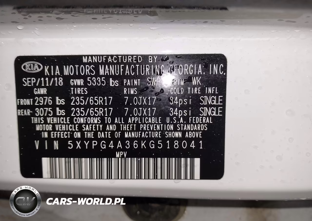 2019 Kia Sorento 2.4L Lx VIN:5XYPG4A36KG518041 - 9