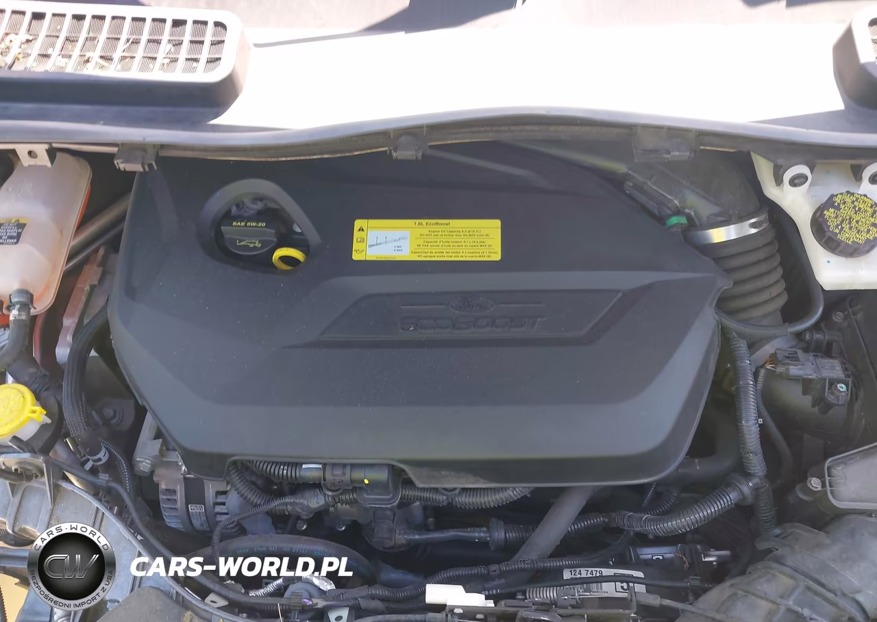 2013 Ford Escape Se VIN:1FMCU0GX4DUD64338 - 10