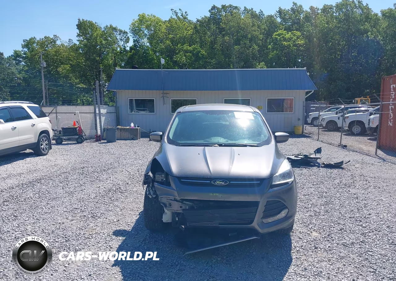 2013 Ford Escape Se VIN:1FMCU0GX4DUD64338 - 13