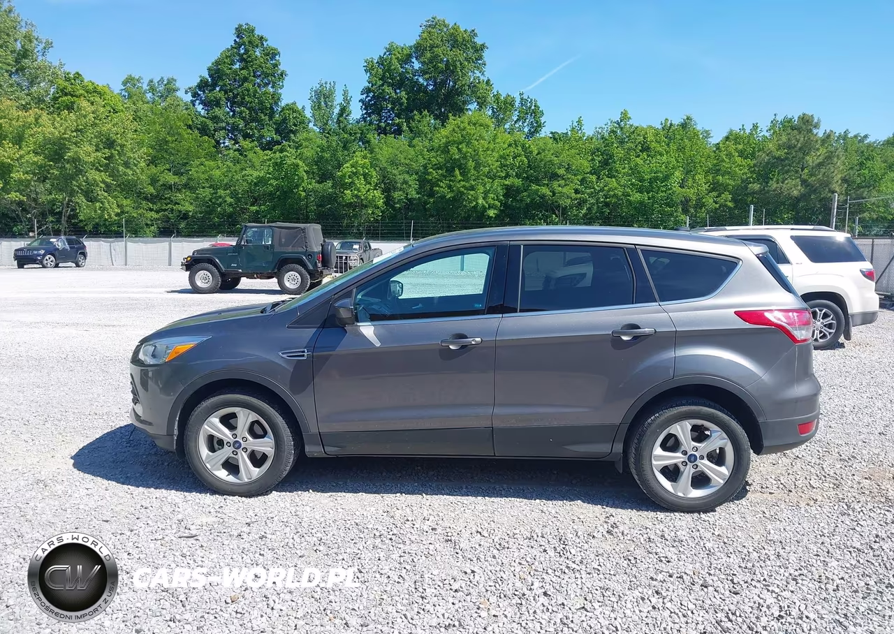 2013 Ford Escape Se VIN:1FMCU0GX4DUD64338 - 15