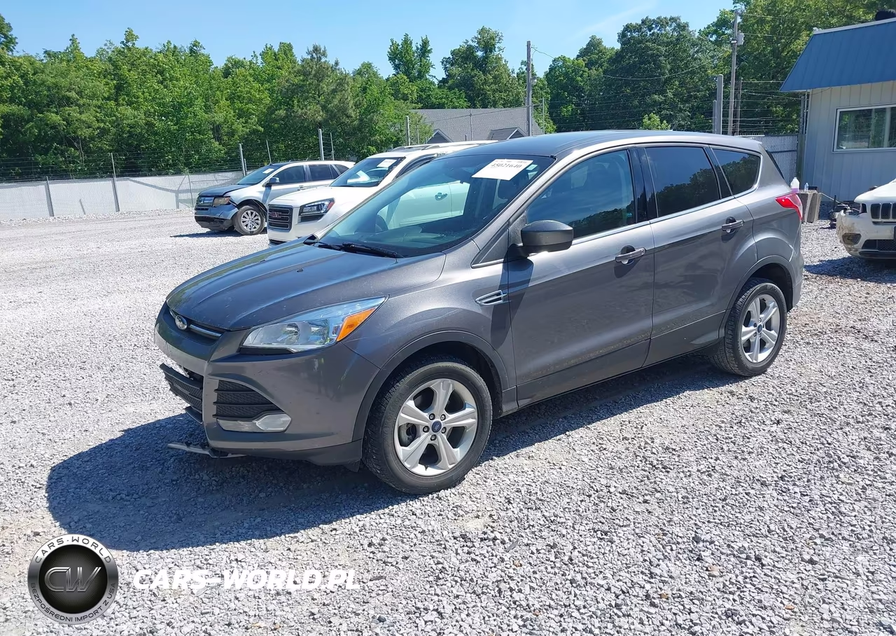 2013 Ford Escape Se VIN:1FMCU0GX4DUD64338 - 2
