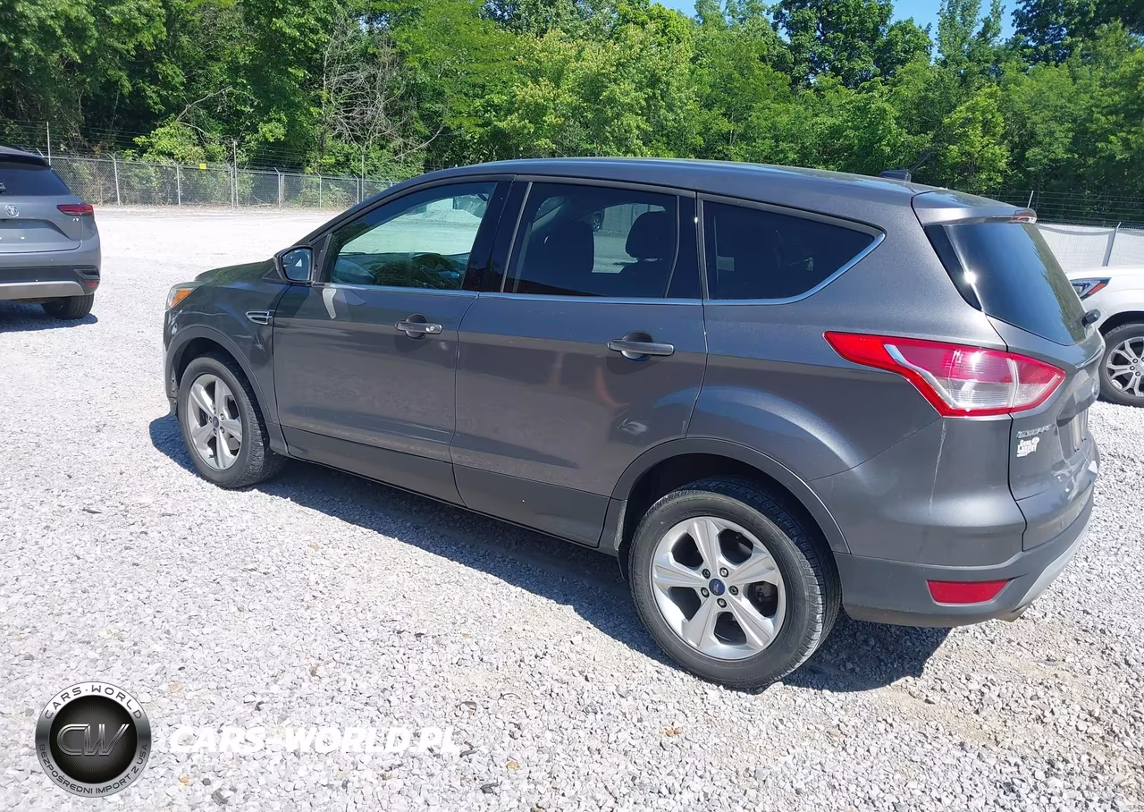 2013 Ford Escape Se VIN:1FMCU0GX4DUD64338 - 3