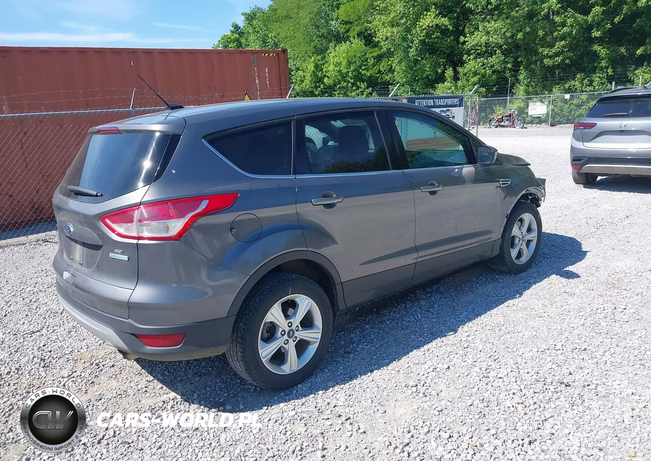 2013 Ford Escape Se VIN:1FMCU0GX4DUD64338 - 4