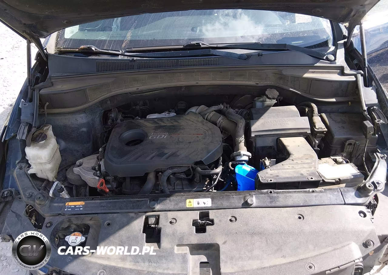 2017 Hyundai Santa Fe Sport 2.0T Ultimate VIN:5XYZW4LA8HG465018 - 10