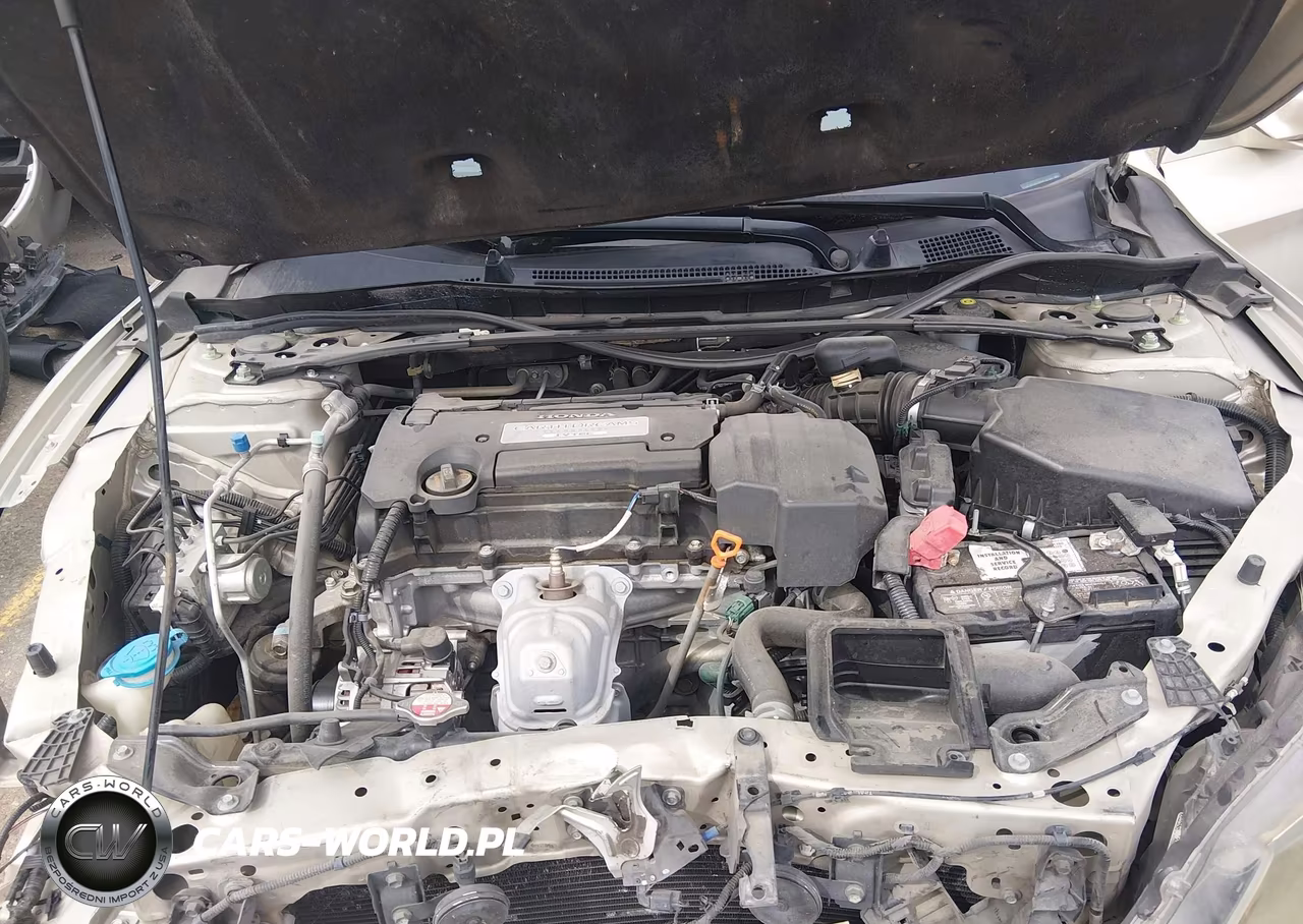 2013 Honda Accord Ex-L VIN:1HGCR2F89DA012239 - 10