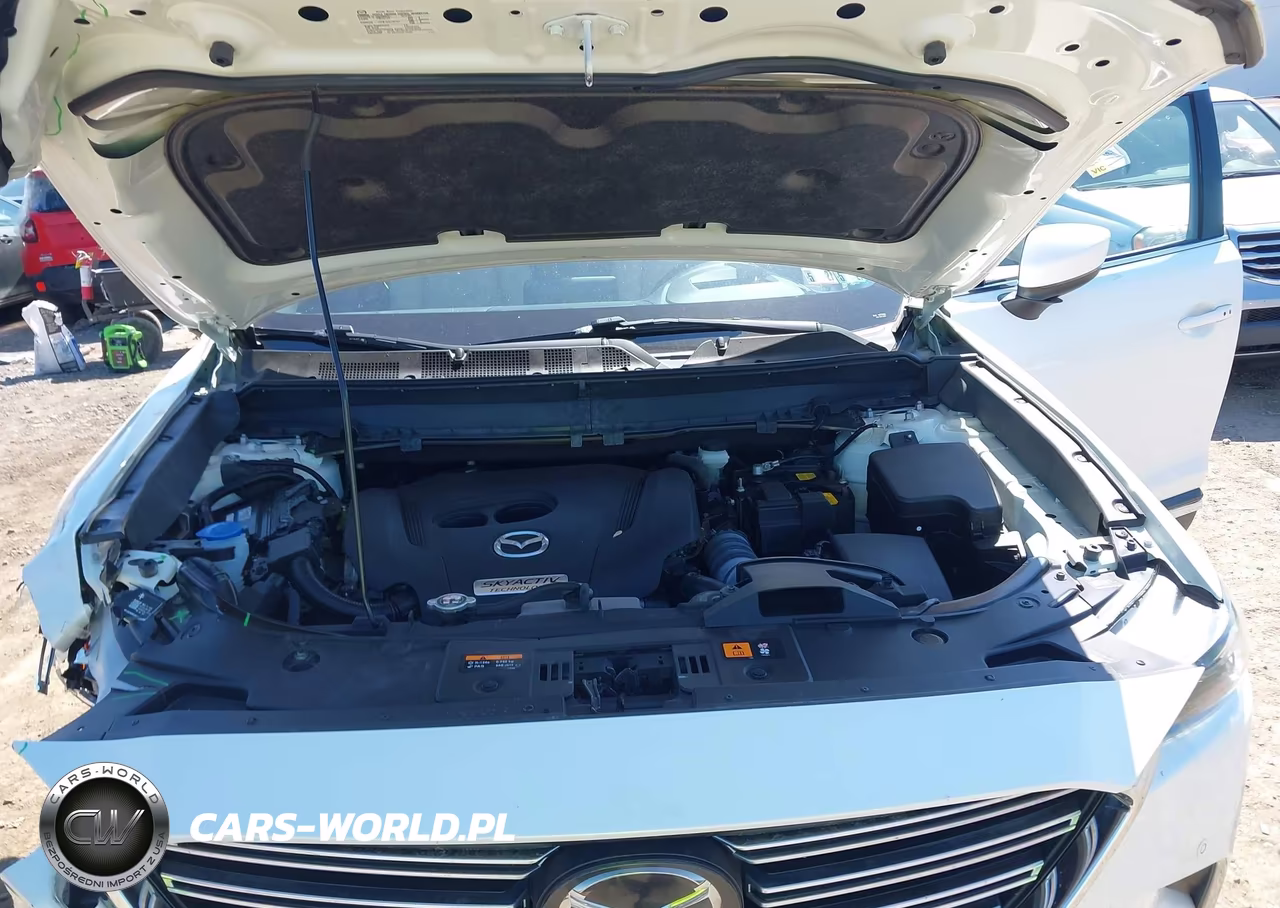 2019 Mazda Cx-9 Grand Touring VIN:JM3TCBDY4K0322019 - 10
