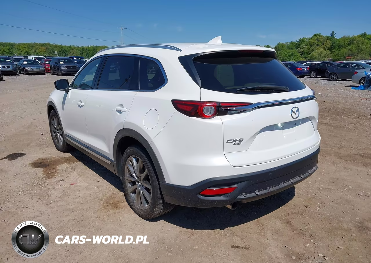 2019 Mazda Cx-9 Grand Touring VIN:JM3TCBDY4K0322019 - 3