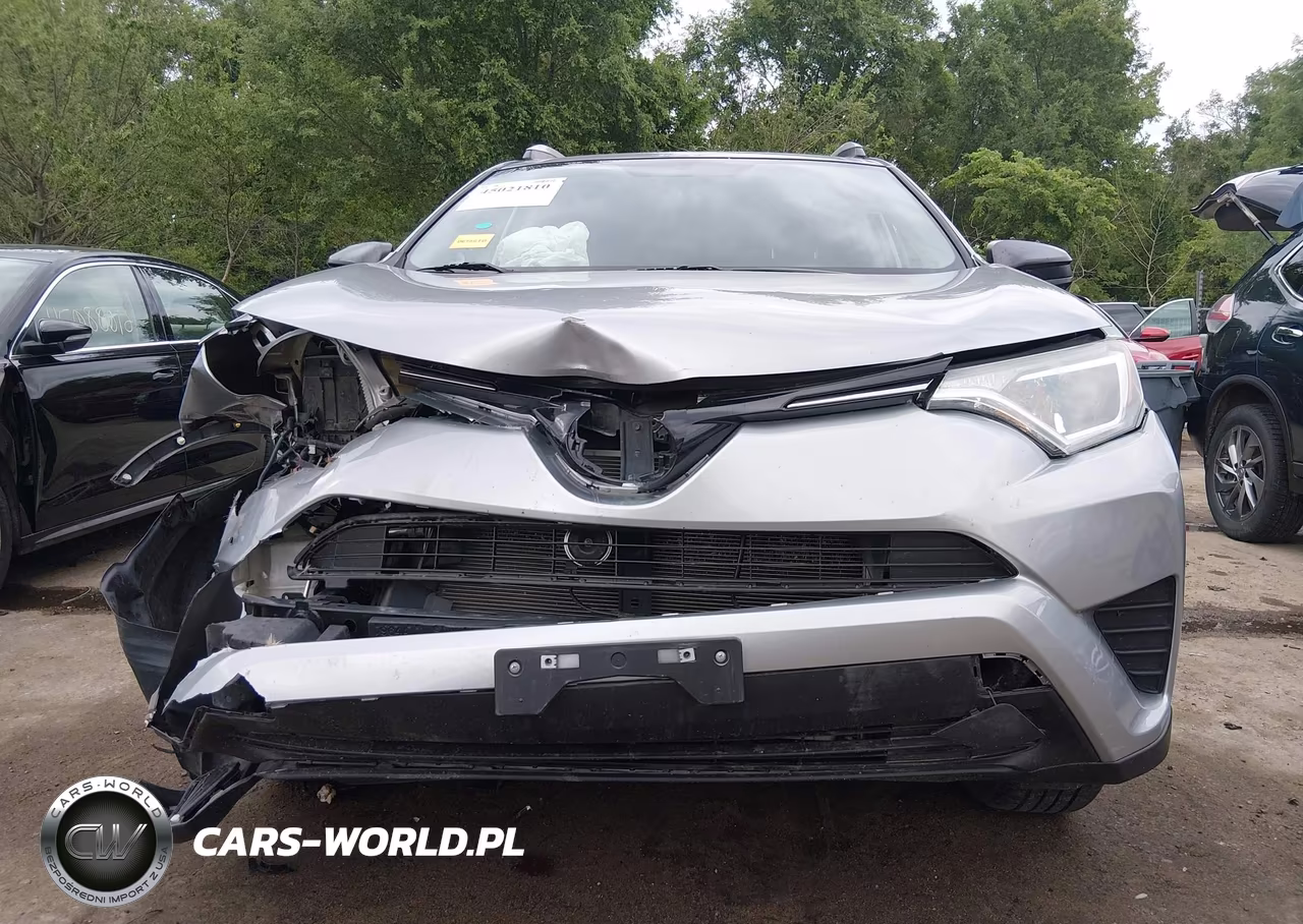 2016 Toyota Rav4 Le VIN:2T3BFREV5GW445551 - 18