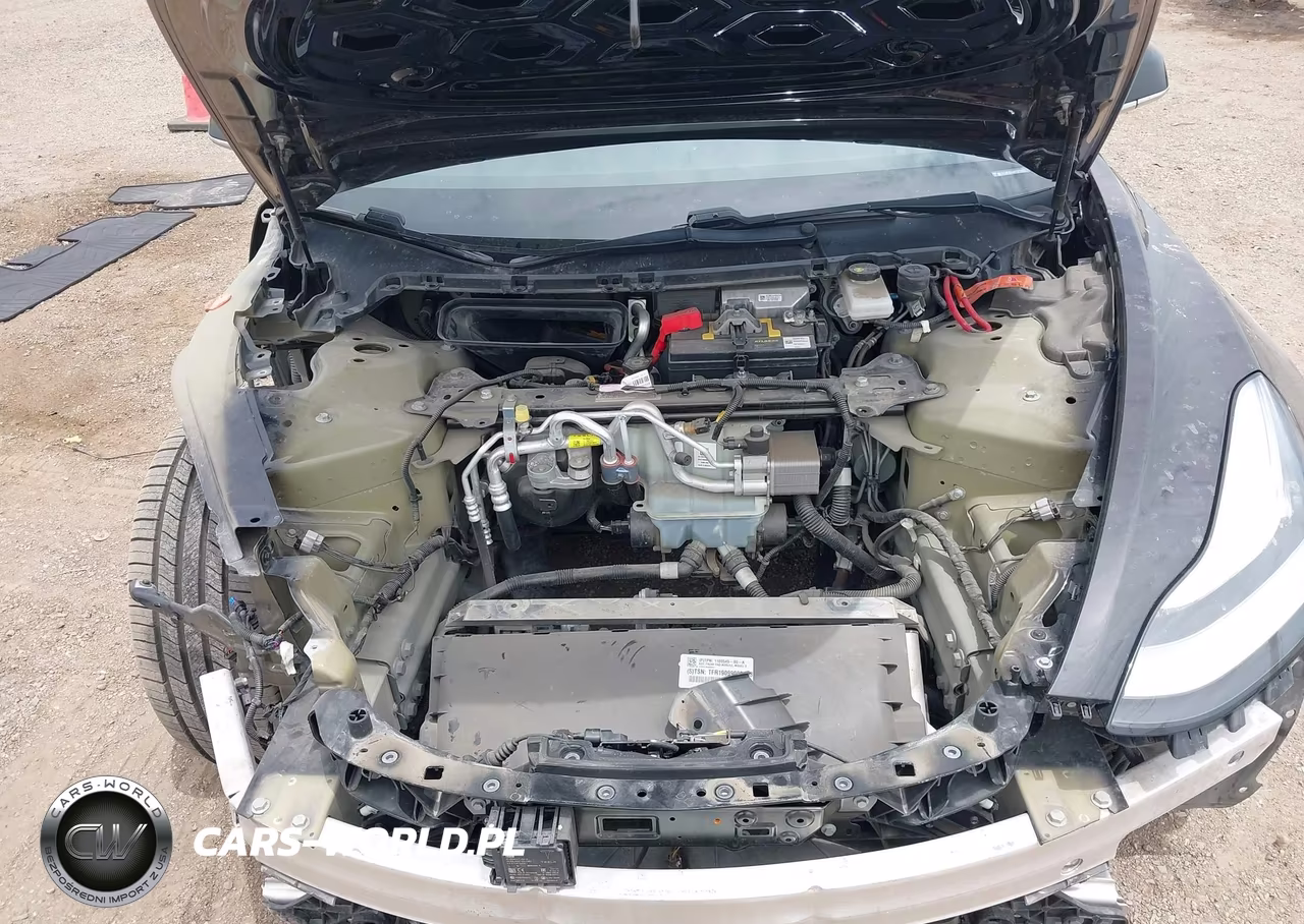 2019 Tesla Model 3 Long Range-Mid Range-Standard Range-Standard Range Plus VIN:5YJ3E1EA8KF317003 - 10