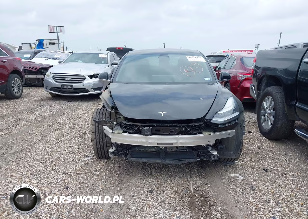 2019 Tesla Model 3 Long Range-Mid Range-Standard Range-Standard Range Plus VIN:5YJ3E1EA8KF317003 - 13