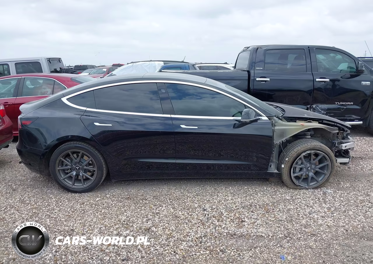 2019 Tesla Model 3 Long Range-Mid Range-Standard Range-Standard Range Plus VIN:5YJ3E1EA8KF317003 - 14
