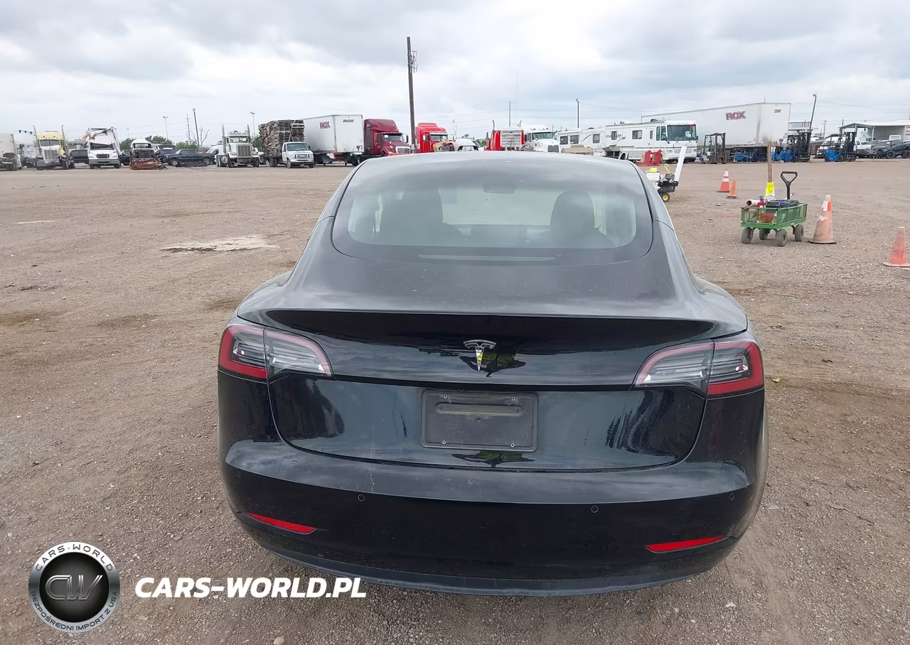 2019 Tesla Model 3 Long Range-Mid Range-Standard Range-Standard Range Plus VIN:5YJ3E1EA8KF317003 - 17
