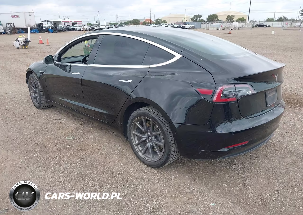 2019 Tesla Model 3 Long Range-Mid Range-Standard Range-Standard Range Plus VIN:5YJ3E1EA8KF317003 - 3