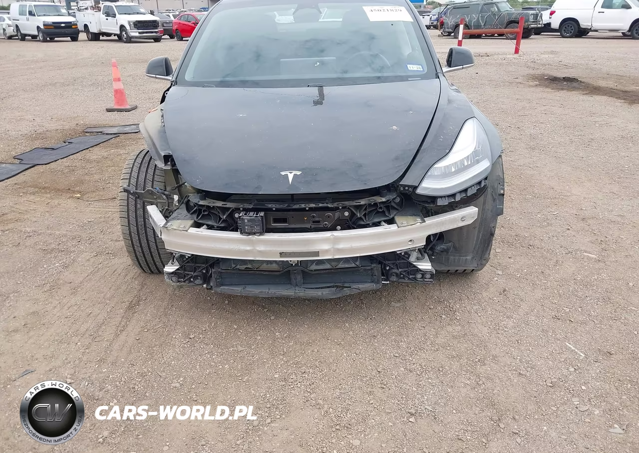 2019 Tesla Model 3 Long Range-Mid Range-Standard Range-Standard Range Plus VIN:5YJ3E1EA8KF317003 - 6