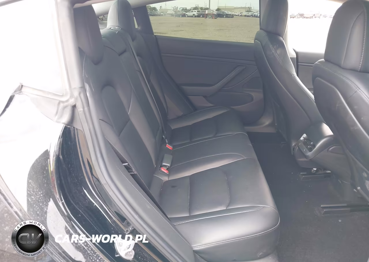 2019 Tesla Model 3 Long Range-Mid Range-Standard Range-Standard Range Plus VIN:5YJ3E1EA8KF317003 - 8