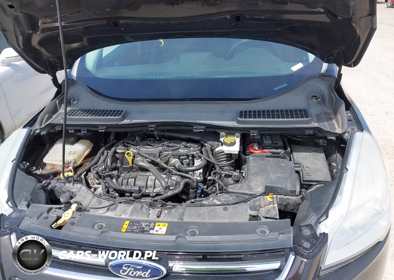 2013 Ford Escape Sel VIN:1FMCU9HXXDUA78853 - 10