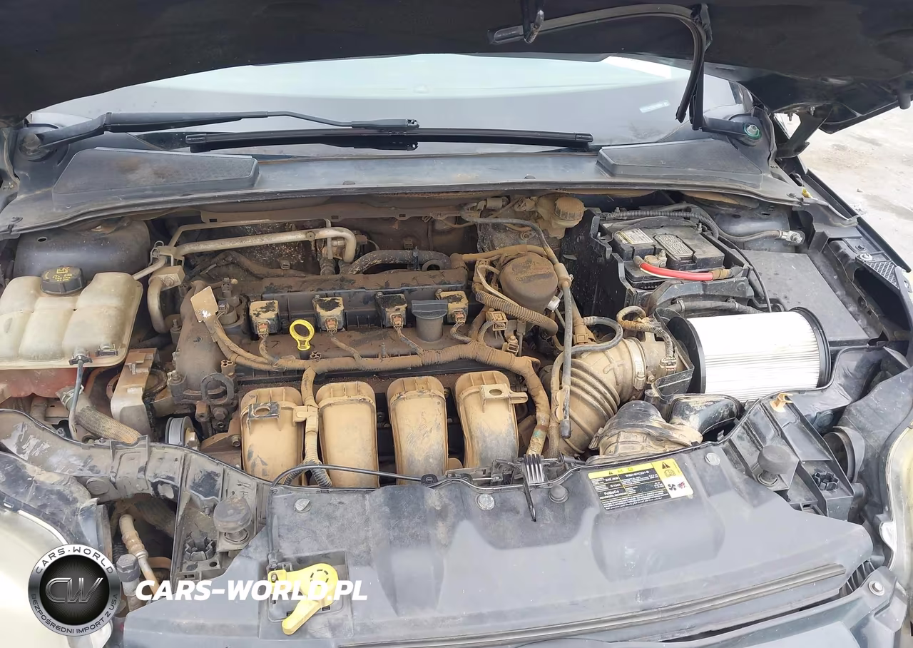 2014 Ford Focus Titanium VIN:1FADP3J25EL141656 - 10