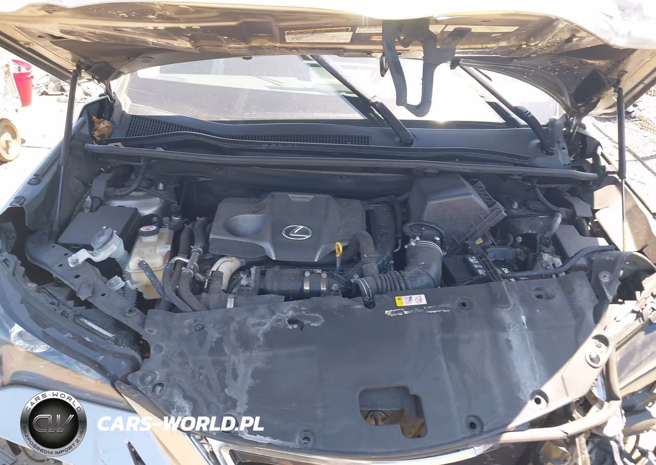 2019 Lexus Nx 300 VIN:JTJBARBZ2K2200761 - 10