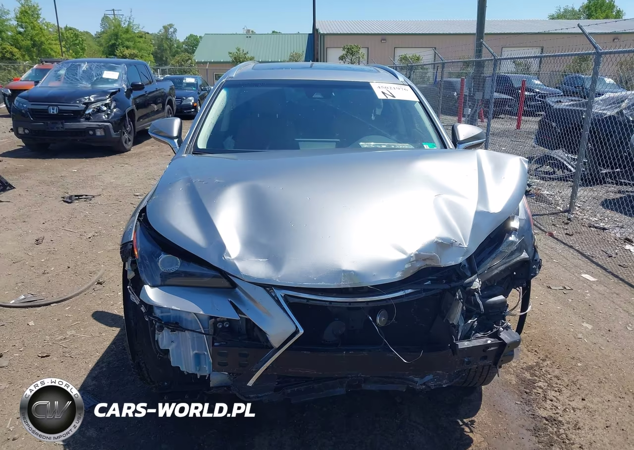 2019 Lexus Nx 300 VIN:JTJBARBZ2K2200761 - 12