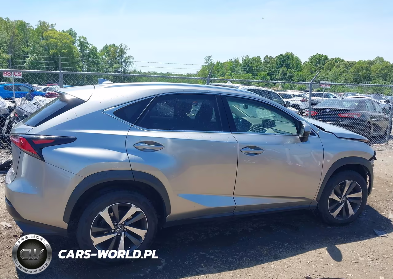 2019 Lexus Nx 300 VIN:JTJBARBZ2K2200761 - 13