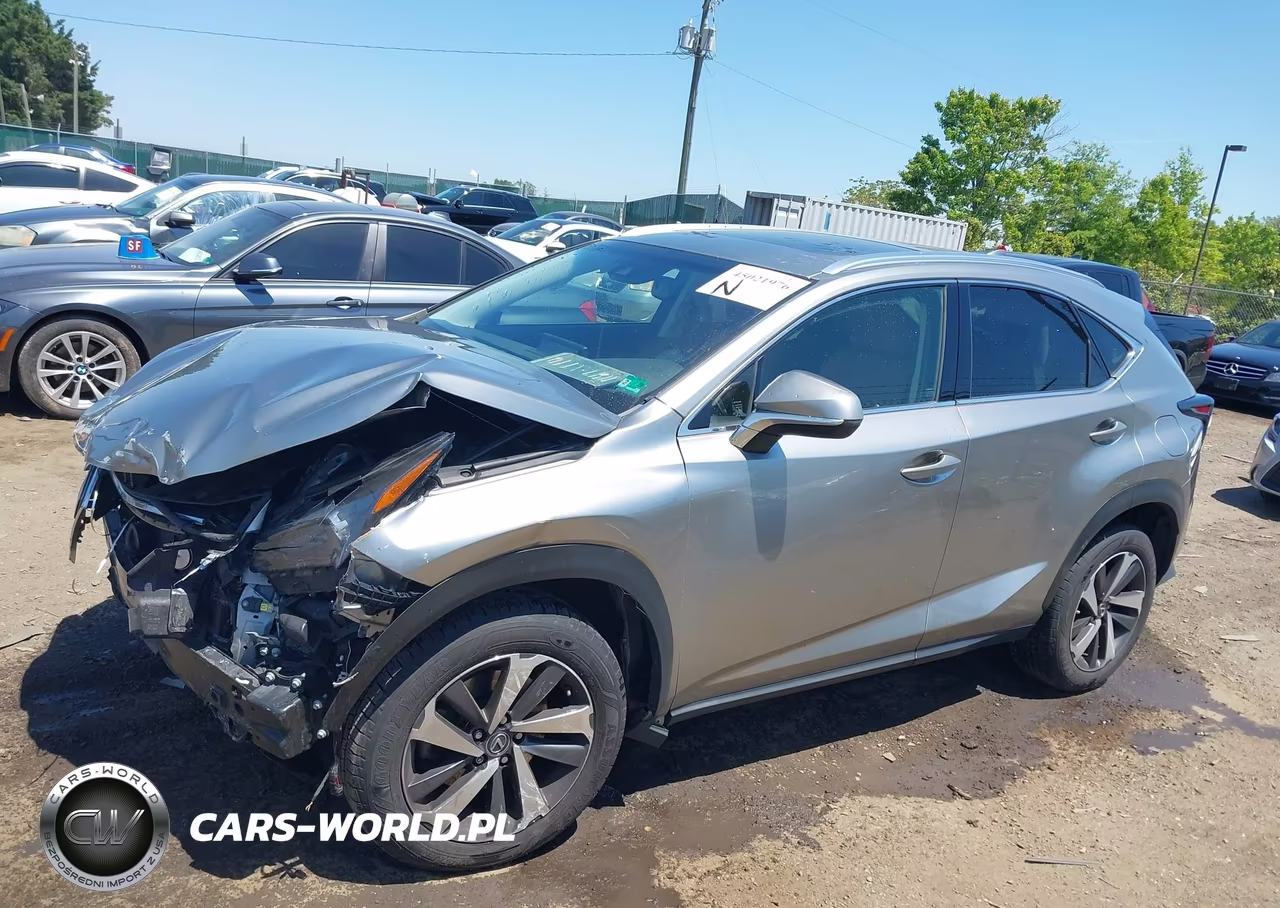 2019 Lexus Nx 300 VIN:JTJBARBZ2K2200761 - 14