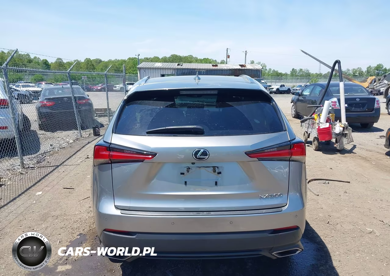 2019 Lexus Nx 300 VIN:JTJBARBZ2K2200761 - 16