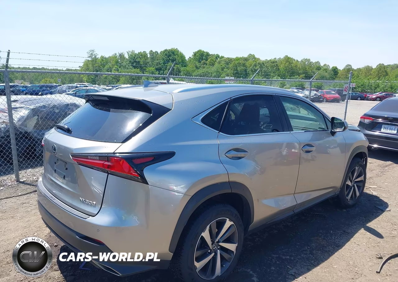 2019 Lexus Nx 300 VIN:JTJBARBZ2K2200761 - 4