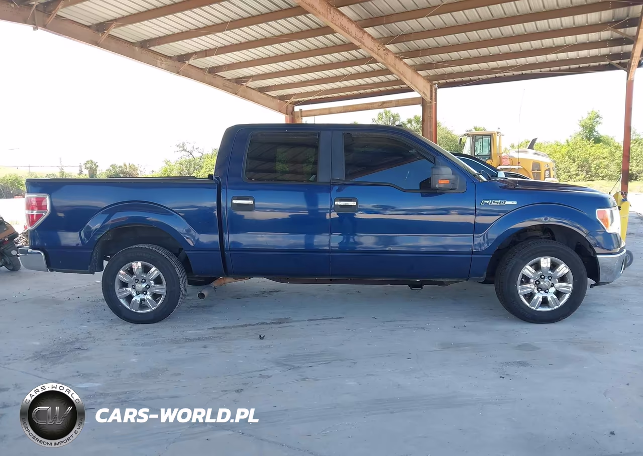 2010 Ford F-150 Fx2 Sport-Harley-Davidson-King Ranch-Lariat-Platinum-Xl-Xlt VIN:1FTFW1CV0AFD16258 - 13