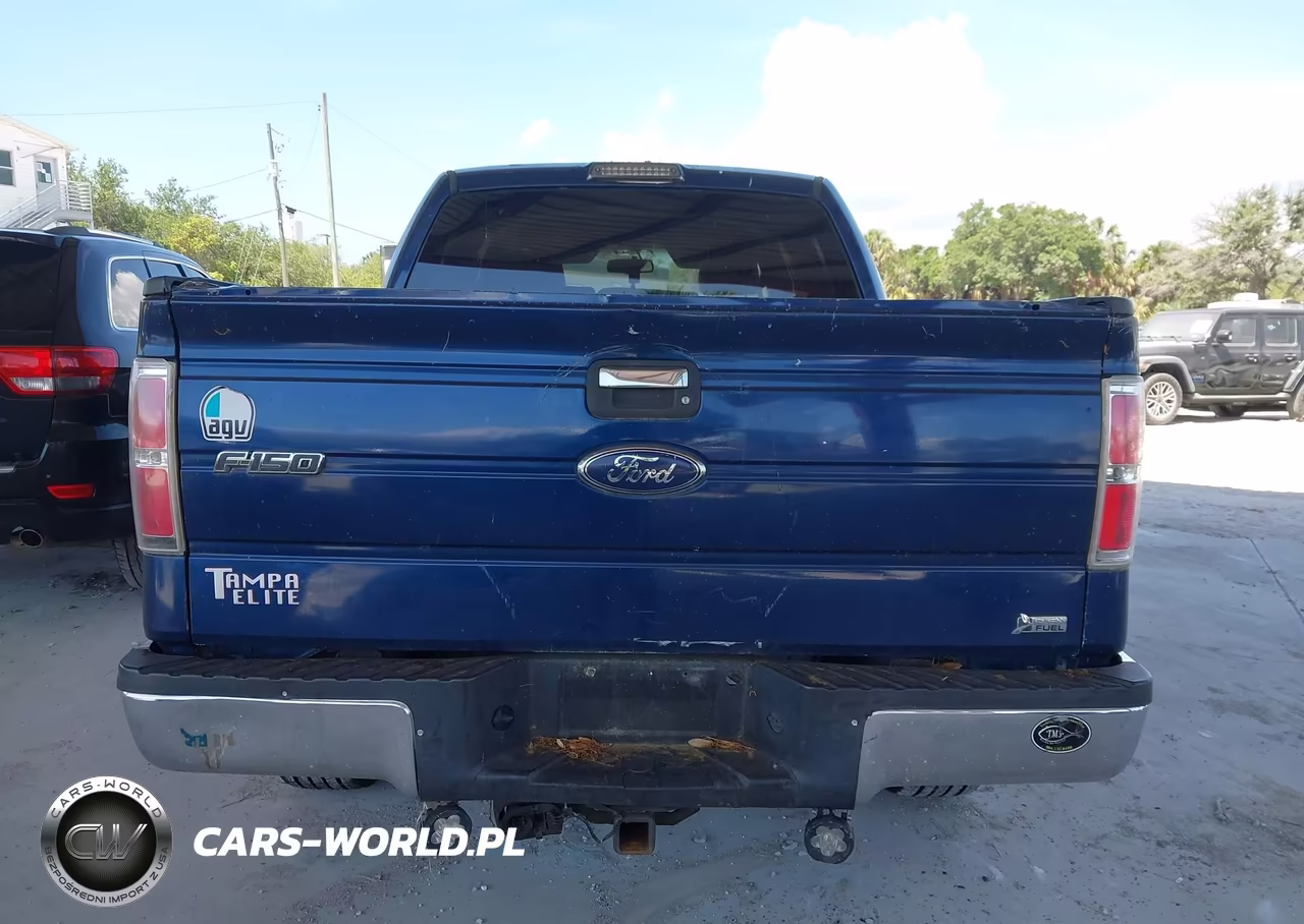 2010 Ford F-150 Fx2 Sport-Harley-Davidson-King Ranch-Lariat-Platinum-Xl-Xlt VIN:1FTFW1CV0AFD16258 - 16