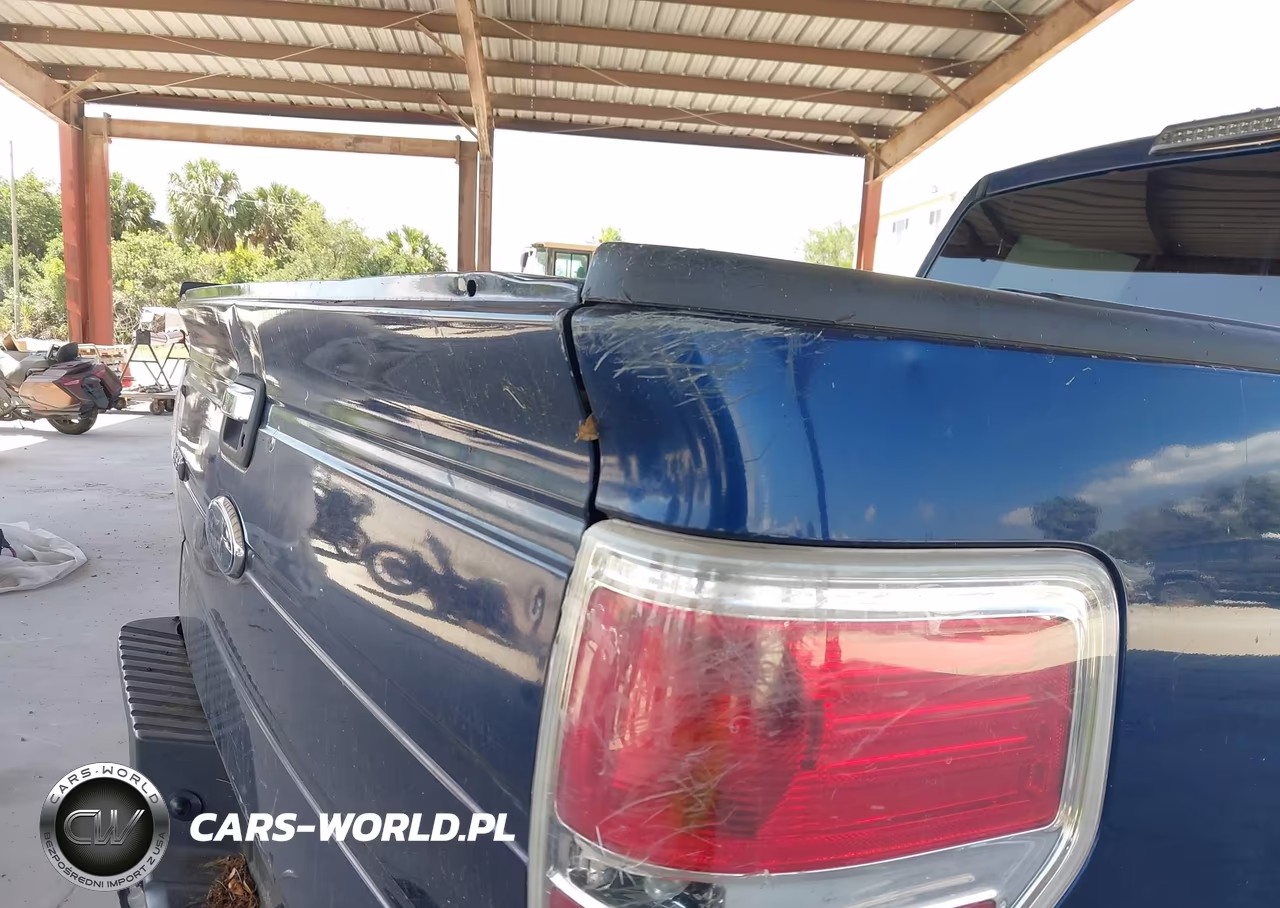 2010 Ford F-150 Fx2 Sport-Harley-Davidson-King Ranch-Lariat-Platinum-Xl-Xlt VIN:1FTFW1CV0AFD16258 - 19
