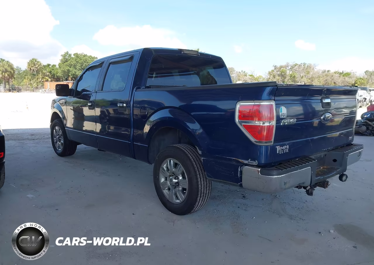 2010 Ford F-150 Fx2 Sport-Harley-Davidson-King Ranch-Lariat-Platinum-Xl-Xlt VIN:1FTFW1CV0AFD16258 - 3