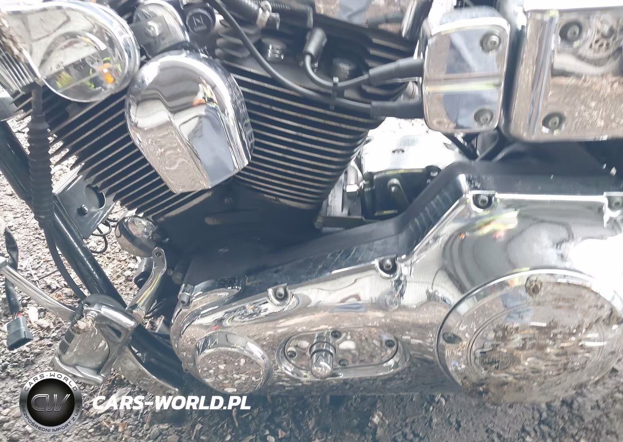 2000 Harley-Davidson Fxdl VIN:1HD1GDV10YY308807 - 9