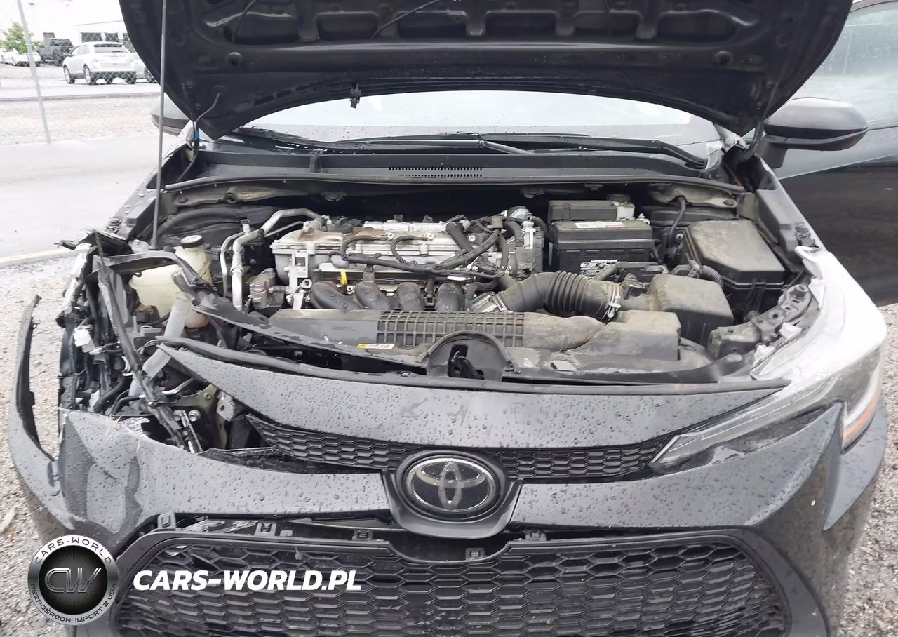 2020 Toyota Corolla Le VIN:5YFEPRAE5LP131015 - 10