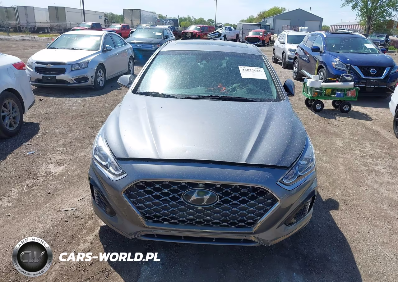 2019 Hyundai Sonata Limited VIN:5NPE34AF0KH770454 - 12
