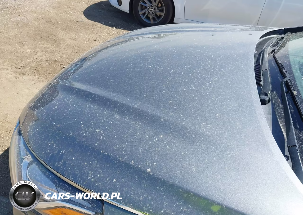 2019 Hyundai Sonata Limited VIN:5NPE34AF0KH770454 - 6