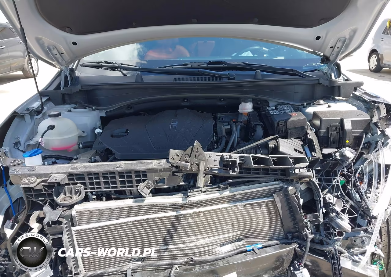 2023 Kia Sportage Sx VIN:5XYK43AF5PG103825 - 10