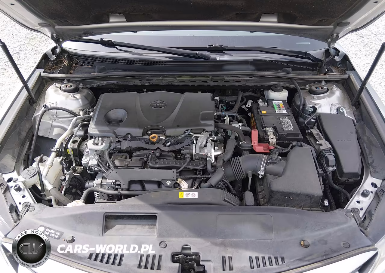 2019 Toyota Camry Le VIN:4T1B11HK2KU760391 - 10