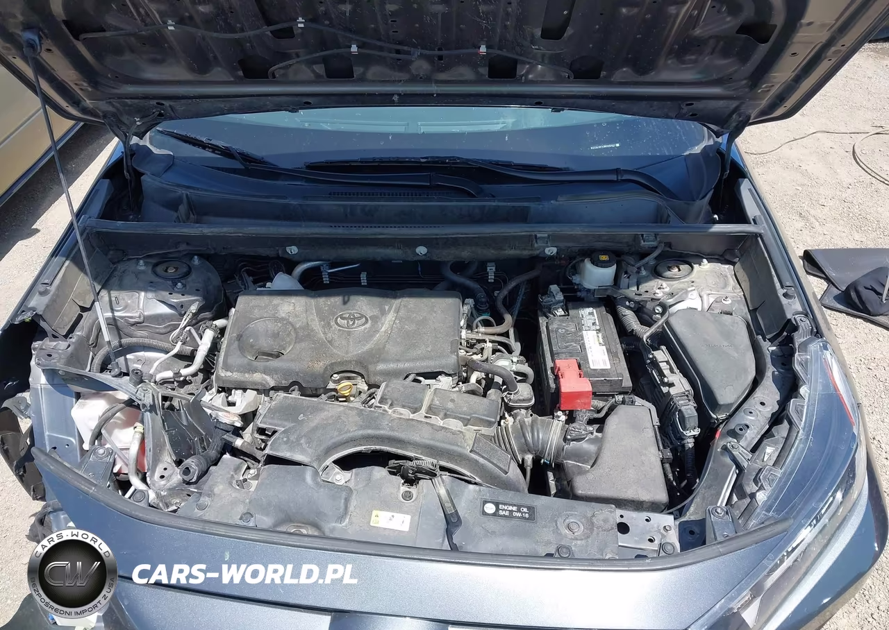 2019 Toyota Rav4 Le VIN:2T3G1RFV3KC023937 - 10