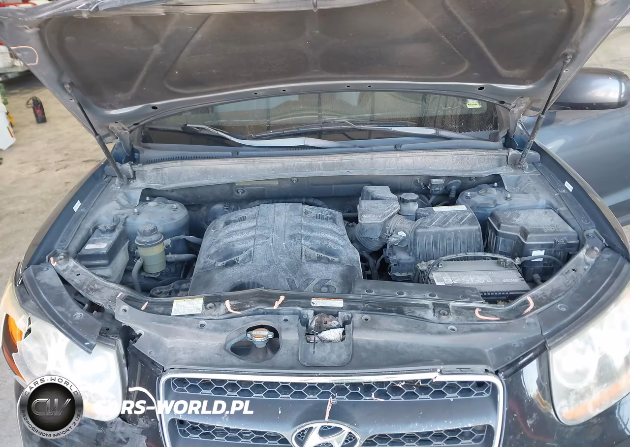 2008 Hyundai Santa Fe Limited-Se VIN:5NMSH13E18H205739 - 10