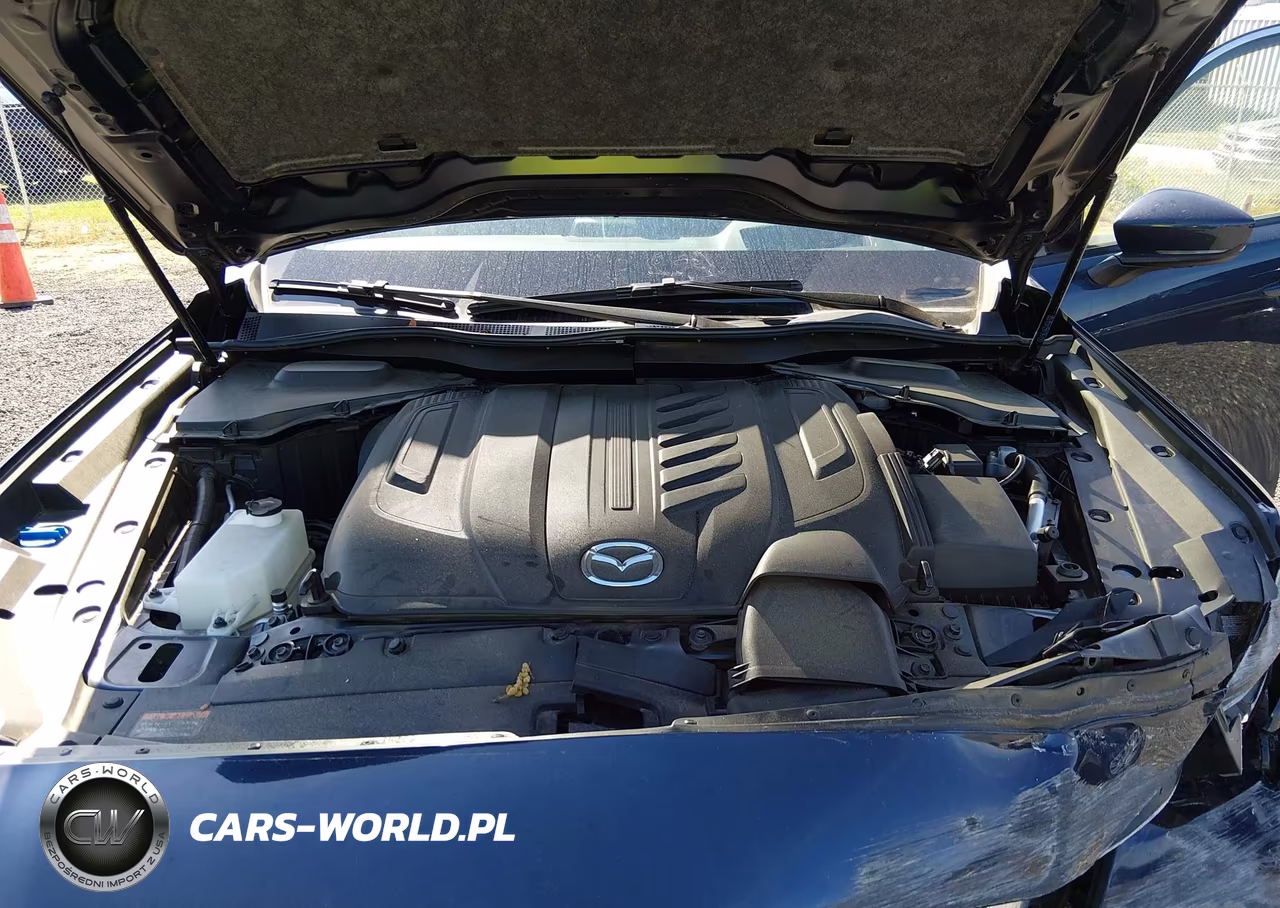 2024 Mazda Cx-90 3.3 Turbo Premium Plus VIN:JM3KKEHD9R1121745 - 10
