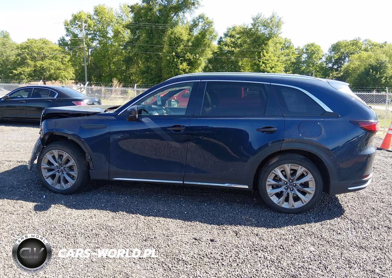 2024 Mazda Cx-90 3.3 Turbo Premium Plus VIN:JM3KKEHD9R1121745 - 15