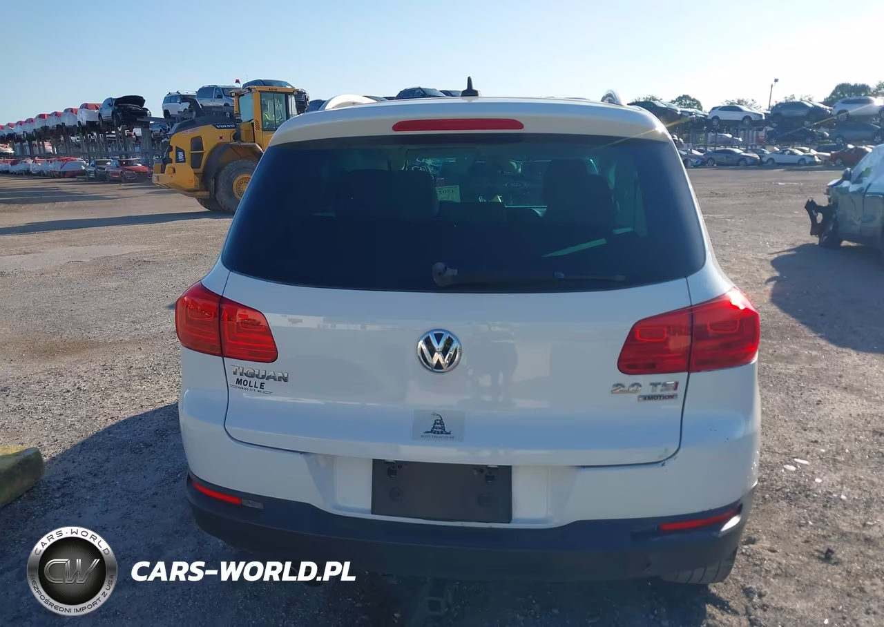 2015 Volkswagen Tiguan Sel VIN:WVGBV7AX2FW518160 - 15